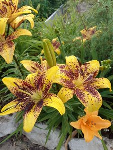 IMG_20230316_065539.jpg