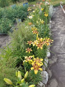 IMG_20230316_065610.jpg