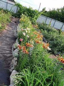 IMG_20230316_065634.jpg