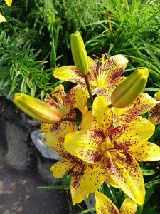 IMG_20230316_065642.jpg