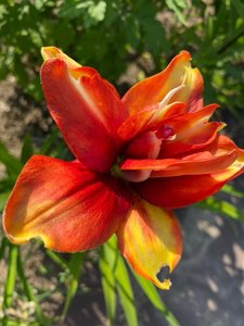 IMG_20230316_070913.jpg