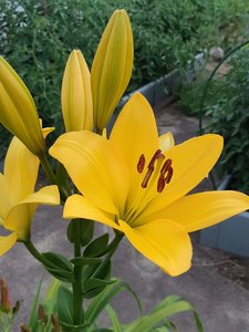 IMG_20230316_064950.jpg