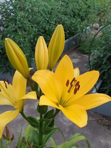IMG_20230316_064953.jpg
