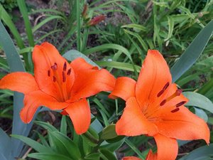IMG_20230316_065003.jpg
