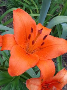 IMG_20230316_065006.jpg