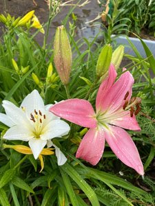 IMG_20230316_065037.jpg