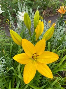 IMG_20230316_065057.jpg