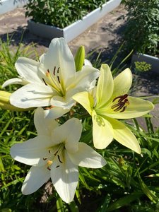 IMG_20230316_065206.jpg