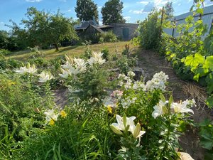 IMG_20230316_065350.jpg