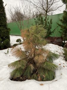 93E7B8E6-853E-4D44-A3F3-B30DA58A4DF6.jpeg