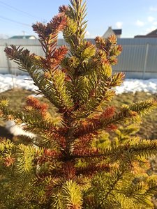 IMG_20230328_165036.jpg