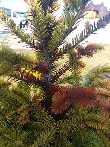 IMG_20230328_165101.jpg