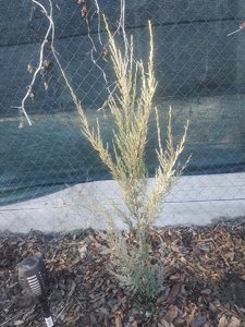 IMG_20230417_180944.jpg