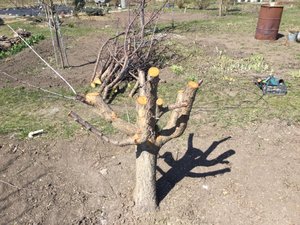 IMG_0204.JPG