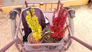 P_20230508_150414_1.jpg