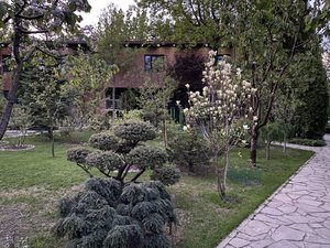 34C6DAAA-1454-4993-8C18-1DF9CBF11432.jpeg