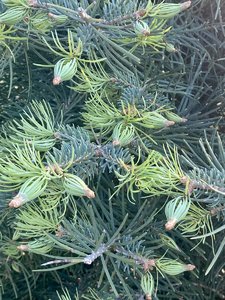 IMG_1477.jpeg