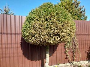 20230516_083116.jpg