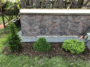 IMG_1631.JPG
