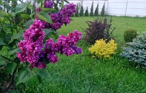 P_20230520_202944_1.jpg