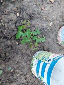 20230523_063512.jpg