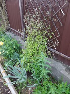 20230523_063801.jpg