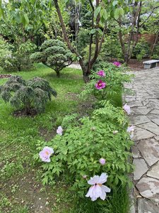 B437CAEF-2A6C-4FAC-9184-A7BFD5B07E51.jpeg