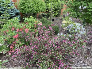 C1C8D170-B39B-4D3C-A714-3F61E519AEA5.jpeg