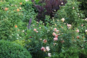 IMG_5438.JPG