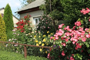 IMG_5476.JPG