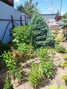 20230611_121159.jpg