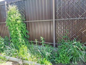 20230611_121336.jpg