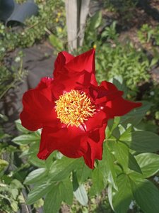 d5d8f4bd-940f-4b79-bc47-48daa8711e83.jpg