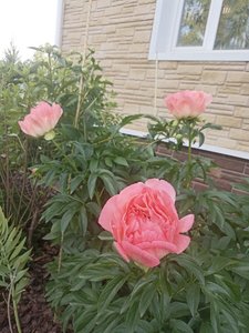 22bb380d-e0e5-43b2-b191-3fcdc3c10a30.jpg