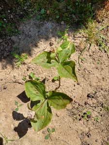 20230613_122315.jpg