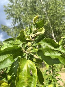 0A637061-EE03-411B-8D70-951263C7758A.jpeg