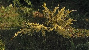 P_20230702_182021.jpg