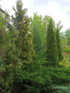 IMG20230502120159.jpg