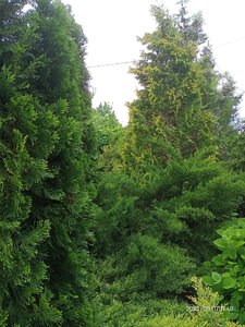 IMG20230517114849.jpg