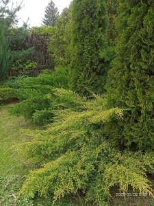 IMG20230502115816.jpg