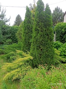 IMG20230522093119.jpg