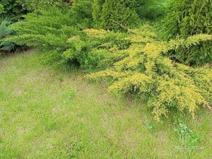 IMG20230517114756.jpg