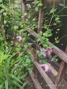 IMG_20230622_111613.jpg