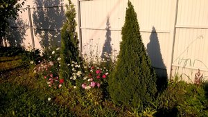 P_20230702_182114_1.jpg