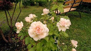 P_20230708_172727_1.jpg