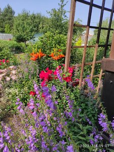 IMG_20230708_090114.jpg