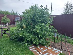 20230713_193933.jpg