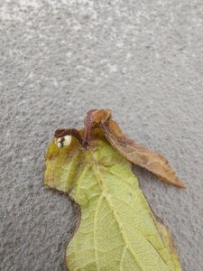 20230714_111946.jpg