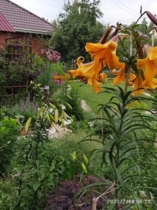 IMG_20230718_062923.jpg