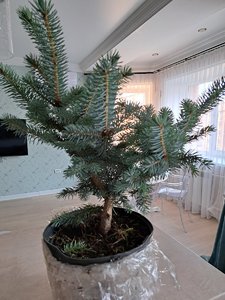 20230719_075502.jpg